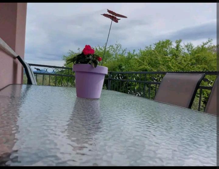 Apartman Hope Zmijavci Exterior foto